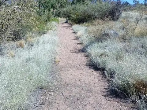 Terreno en Venta de 1990,0 m2