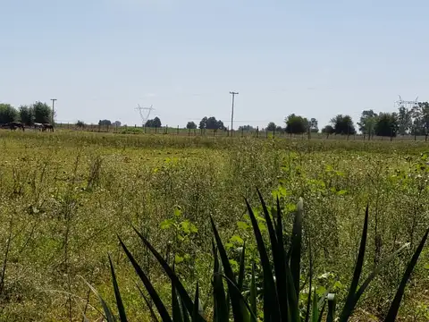 Terreno en Haras El Malacate