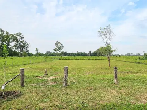 Terreno en Venta de 2119,0 m2