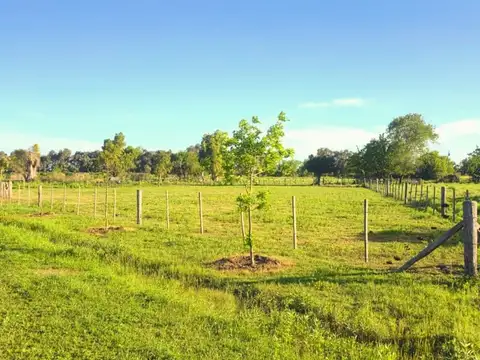 Terreno en Venta de 2119,0 m2