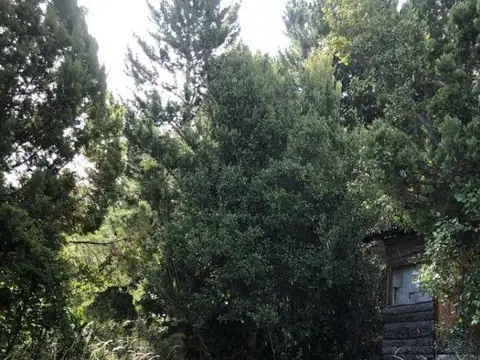 Ruta 71 y Callejón Peña