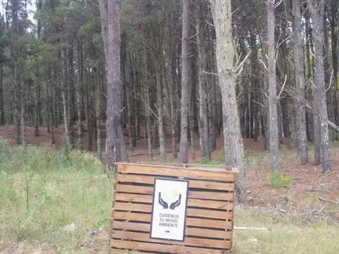 Serena 1 300, Piso 0