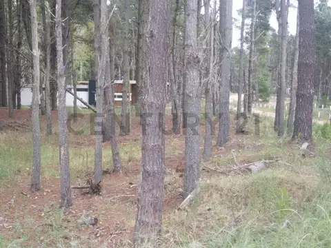 Venta de Lote en  Barrio Villa Robles - Pinamar