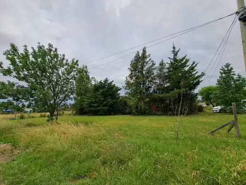 Serodino y Colectora