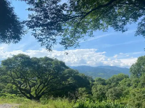 Terreno en Venta de 4598,0 m2