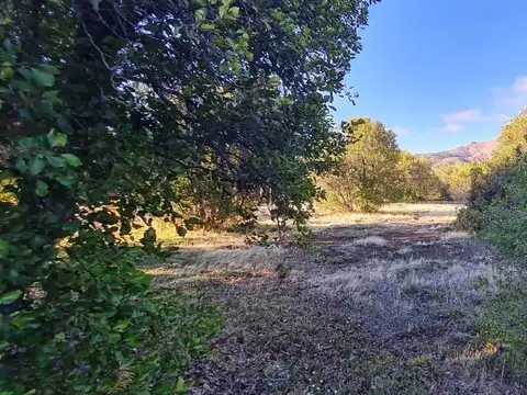 Terreno en Venta de 1650,0 m2