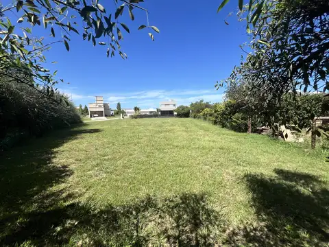 av arturo illia al 1500