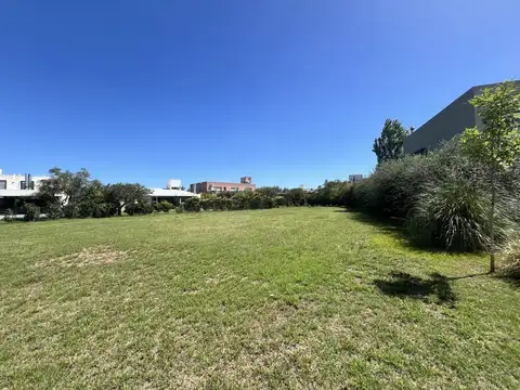 av arturo illia al 1500