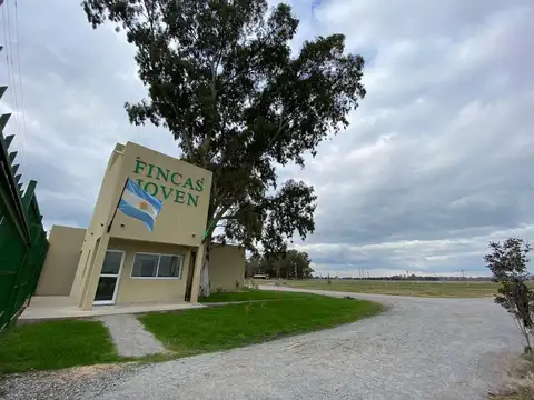 VENTA DE LOTE INTERNO EN FINCAS JOVEN