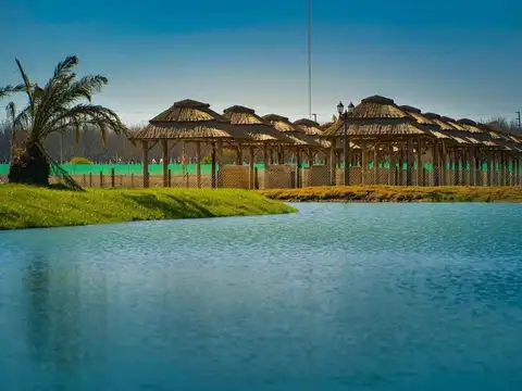 Calle Camino A Navarro