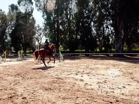 Lote Al Golf - 1.391m2  - Haras Santa Maria