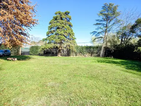 De la carcova al 1100, entre Manzoni y Verazzi