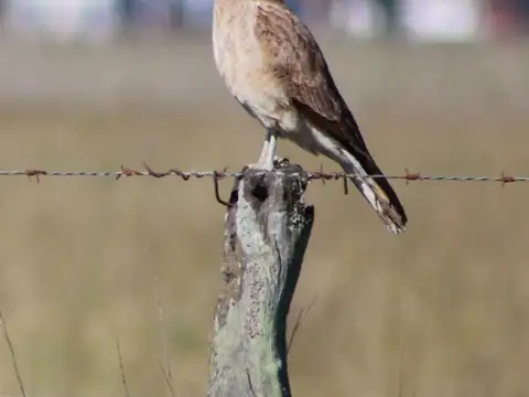 Terreno en Venta de 5000,0 m2