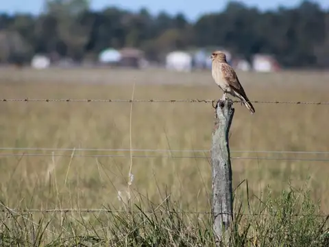 Terreno en Venta en San Vicente, USD 65.000