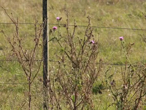 Ruta 58 Y Capdevilla 19000