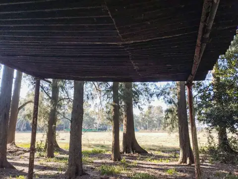 VENTA DE CAMPO BRANDSEN 2.5 HECTAREAS INVERSOR