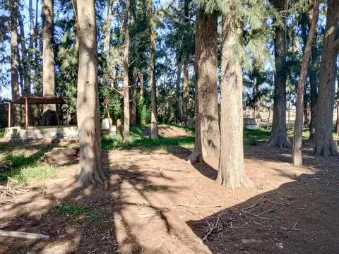 Terreno en Venta de 22560,0 m2