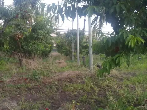 Quinta - Venta - Argentina, San Rafael - RUTA 143 509