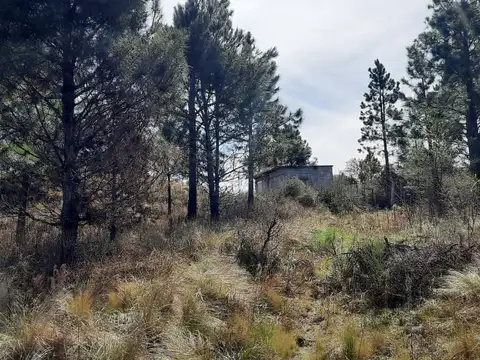 Terreno en Venta 20  mts Frente