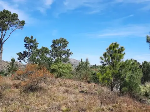 Terreno en Venta, FOT 30