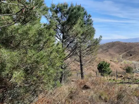 Terreno en Venta 17,58  mts Fondo