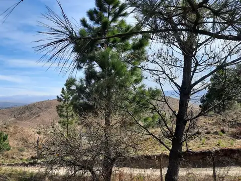 Terreno en Venta de 1179,0 m2