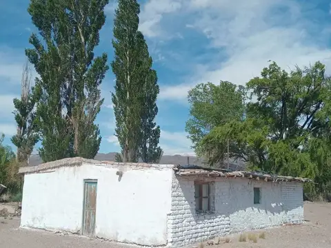 Calle pública n°1 s/n, Los Álamos, Uspallata