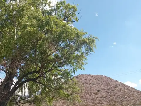 Calle pública n°1 s/n, Los Álamos, Uspallata