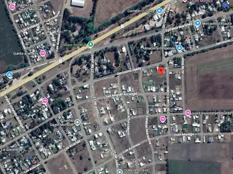 Lote En Venta Sauce Montrull