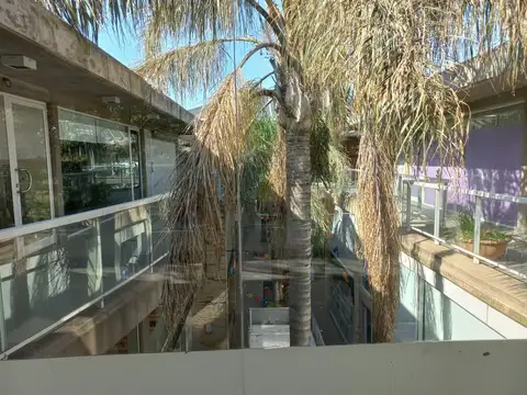 Oficina en Alquiler 10 años