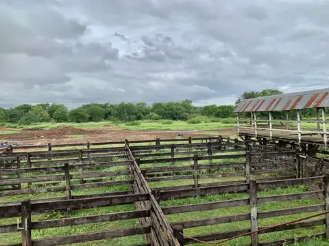 Terreno - Venta - Paraguay, Paraguay