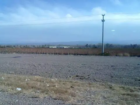 Agrelo - Ruta 40 - Frente Chandon