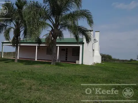 Calchaqui 1200 has ganaderas - Con frente sobre Ruta de ripio.