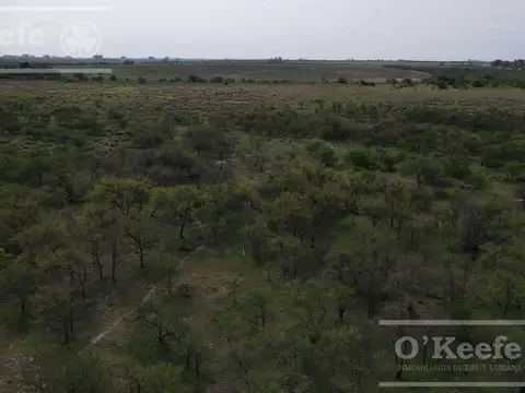 Calchaqui 1200 has ganaderas - Con frente sobre Ruta de ripio.