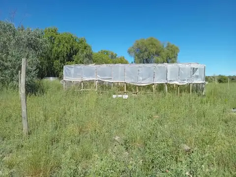 ALQUILER DE CHACRA 6 HECTAREAS