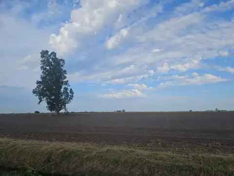 CAMPO 50 Has. Ruta 9 - San Jeronimo Sud