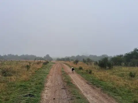 Campo en Estacion Yerua