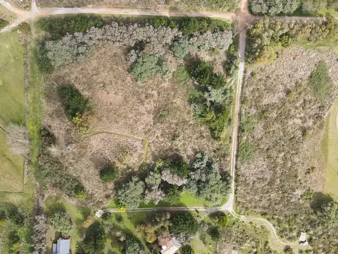 Grecia y C. del Águila