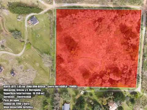 Grecia y C. del Águila