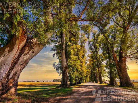 Villa de Campo Tres Pinos