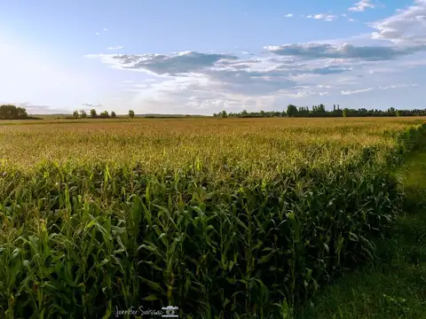 Campo en Venta Mixto