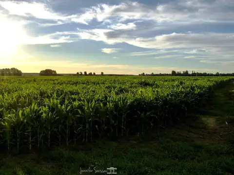 Chacra 240 Has a 10km Gral. Conesa