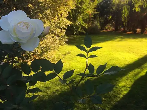 Casa 7 ambientes con 2 baños