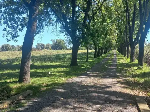 Terreno en Venta en Lomas De Fatima, USD 1