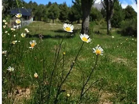 Terrenos plano en Barrio Dos Valles