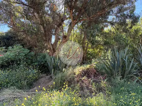 Terreno en Venta en Ostende, USD 170.000