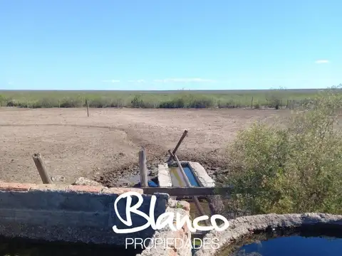 Campo  en Venta en 25 De Mayo, Puelen, La Pampa