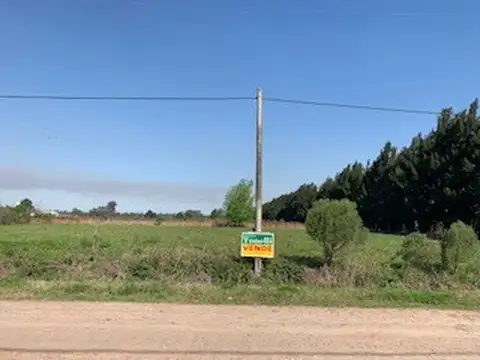 Camino Vuelta de Obligado Lote de 1175 metros