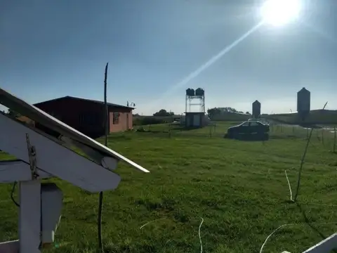 Granja Avícola en venta - 7 hectáreas - General Paz
