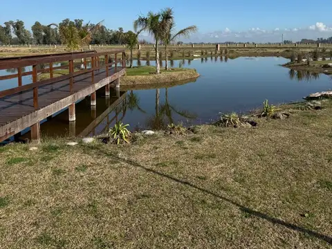 VENTA LOTE EN HARAS ANDRA VIRGINIA - PERMUTA